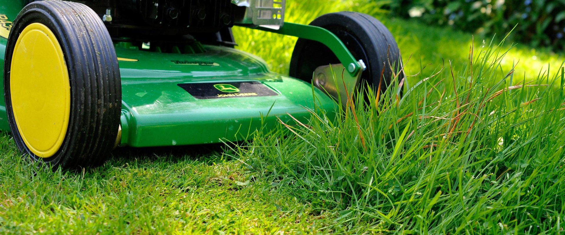 Grass Seed Success In Gresham: The Role Of Tree Removal In Lawn Care