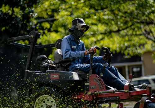 The Benefits Of Partnering With A Professional Commercial Landscaper For Grass Seed Selection In Portland