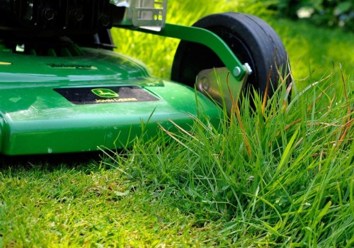 Grass Seed Success In Gresham: The Role Of Tree Removal In Lawn Care