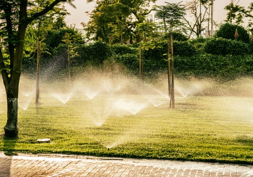 How Landscape Maintenance Ensures Grass Seed Thrives In New Hampshire's Climate