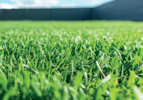 Green Dreams: Why Investing In Professional Turf In Southampton Trumps Grass Seeds